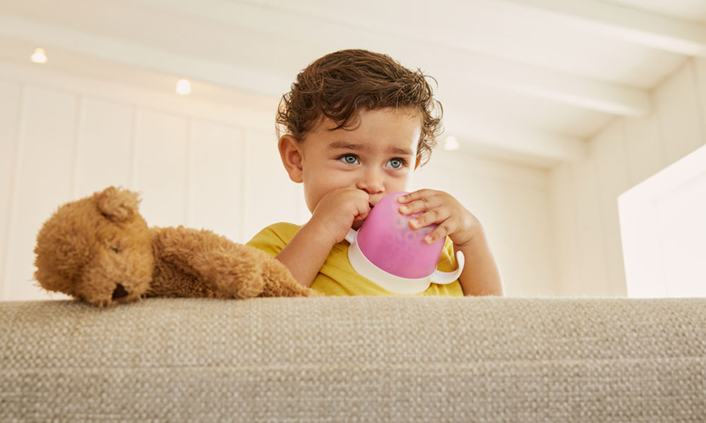 A young boy holiding a pink Munchkin snack catcher and a teddybear looks over the side of a sofa past the camera